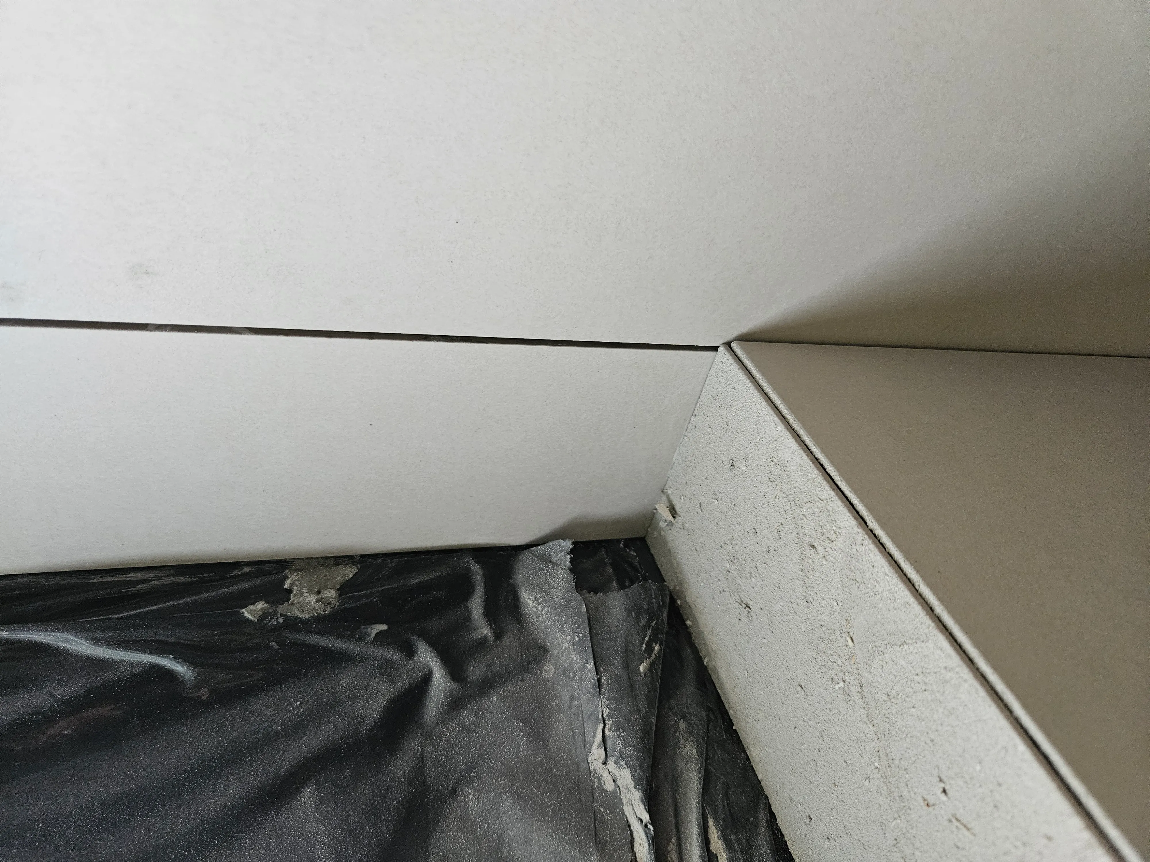 Dongguan - Seamless Raw Body - Image 5