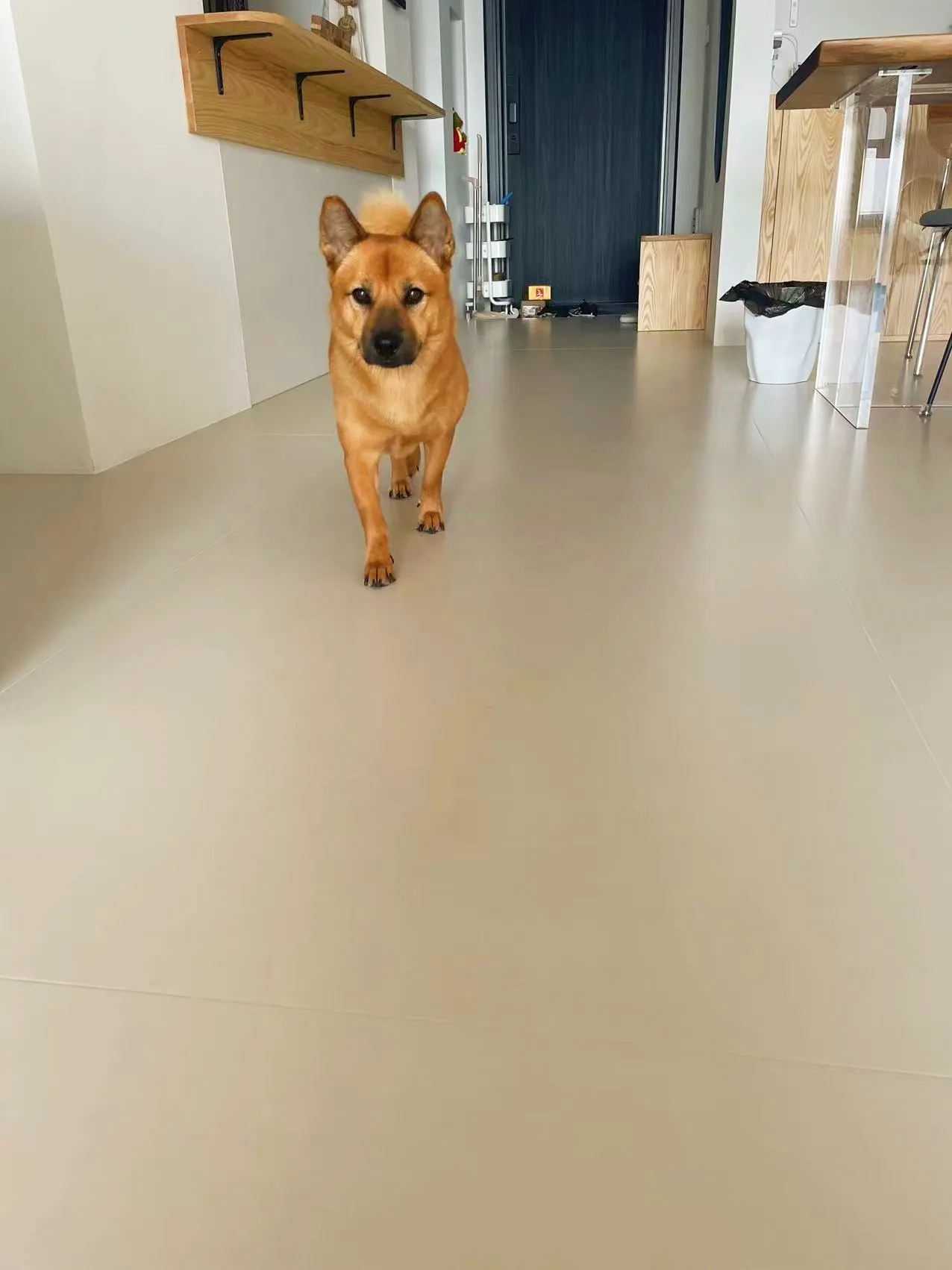 Foshan - Literary Haven